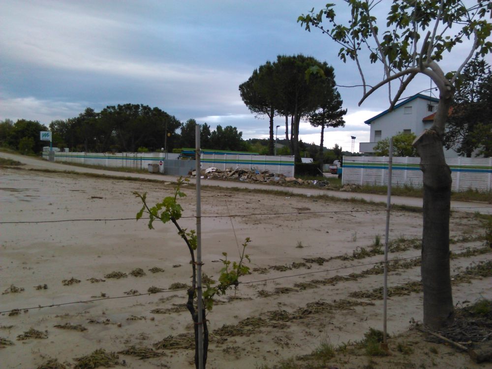 Senigallia, Ancona