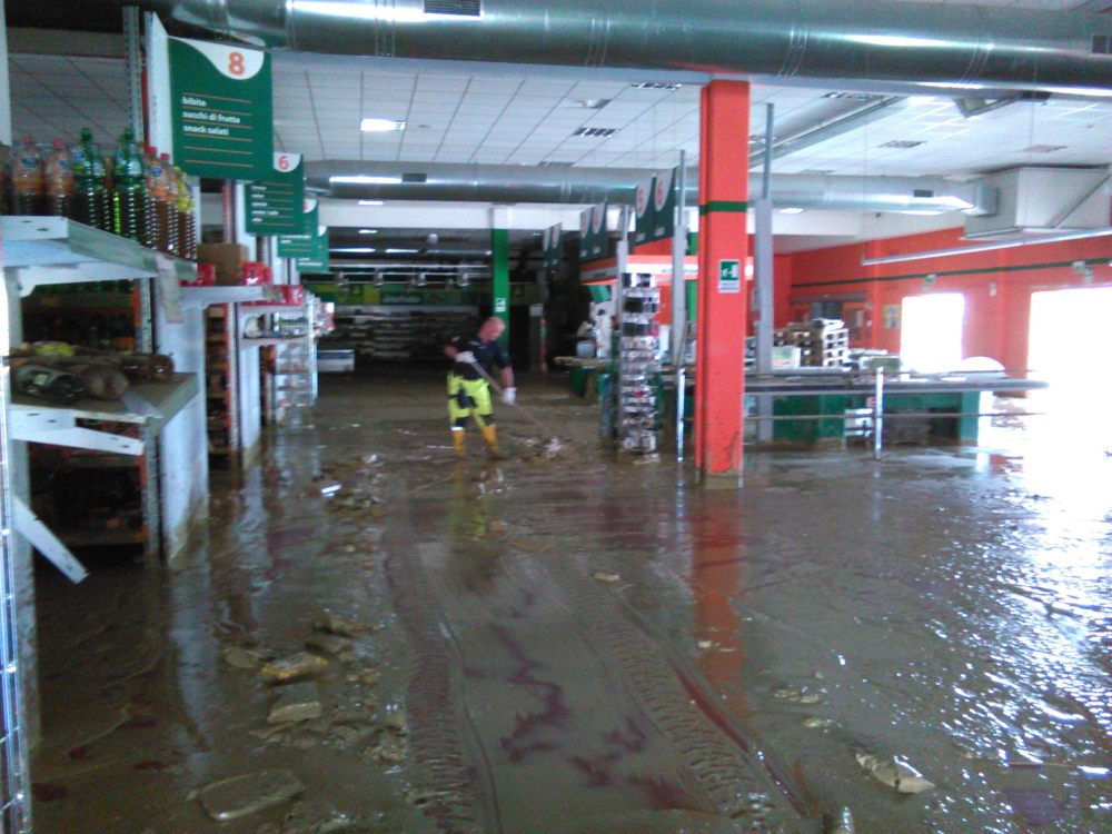 Cannella di Senigallia