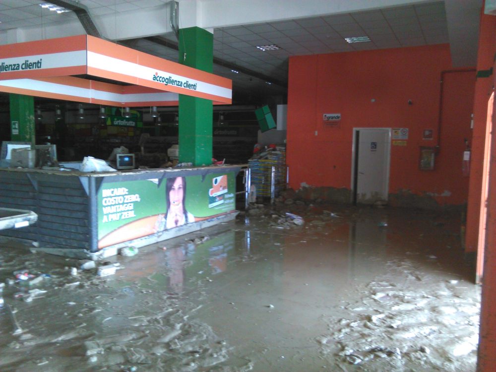 Cannella di Senigallia